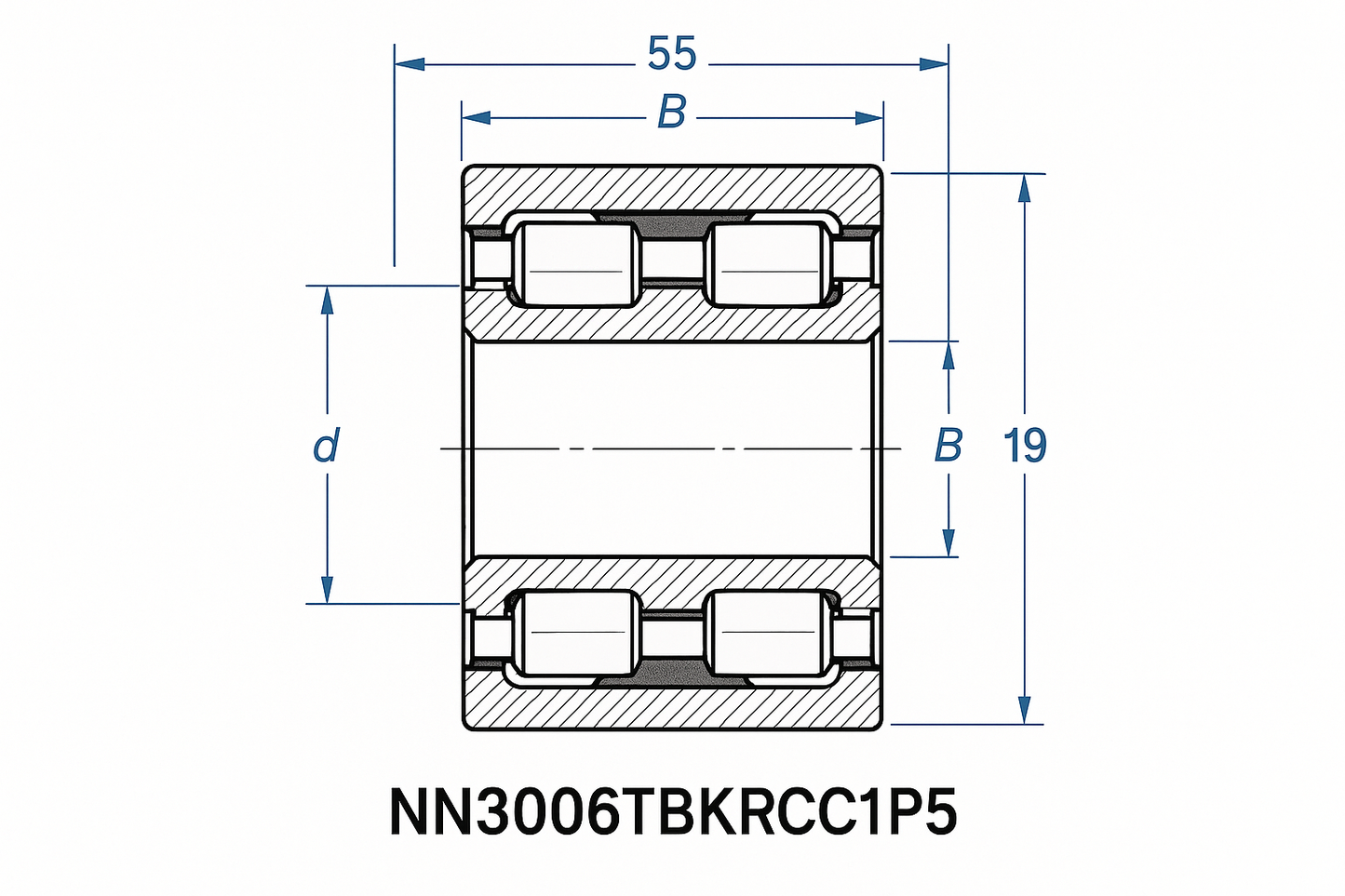 NN3006TBKRCC1P5 Cylindrical Roller Bearing NN30 Series 05-17 series DIMENSIONS